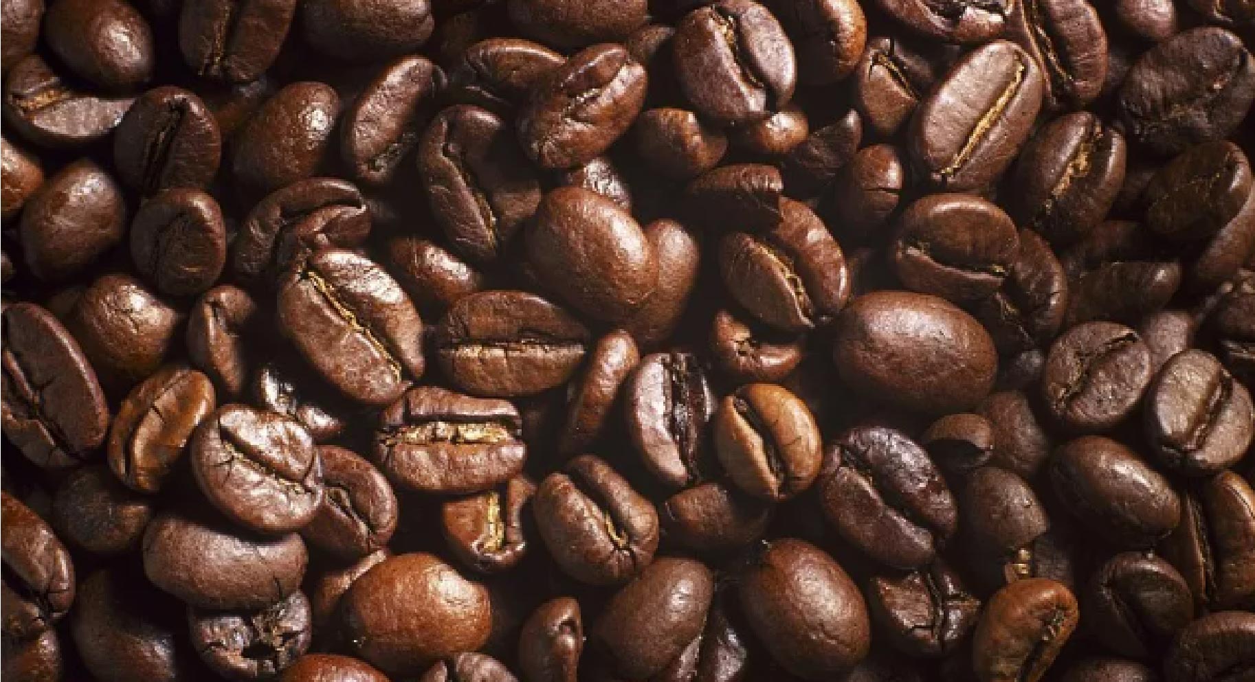 经过烘焙的咖啡豆，为什么会变成茶色？